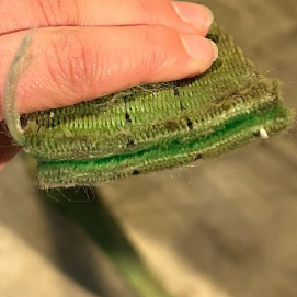 Screenshot 2025-04-09 150423.png